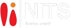 National IT Service Logo